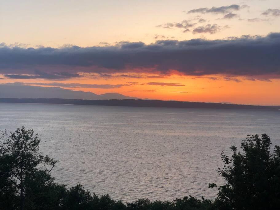 1-Bedroom Seaview Guesthouse On Seattle Luxury Estate With Views Of Olympic Mountains Exterior photo