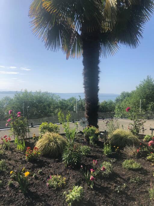 1-Bedroom Seaview Guesthouse On Seattle Luxury Estate With Views Of Olympic Mountains Exterior photo
