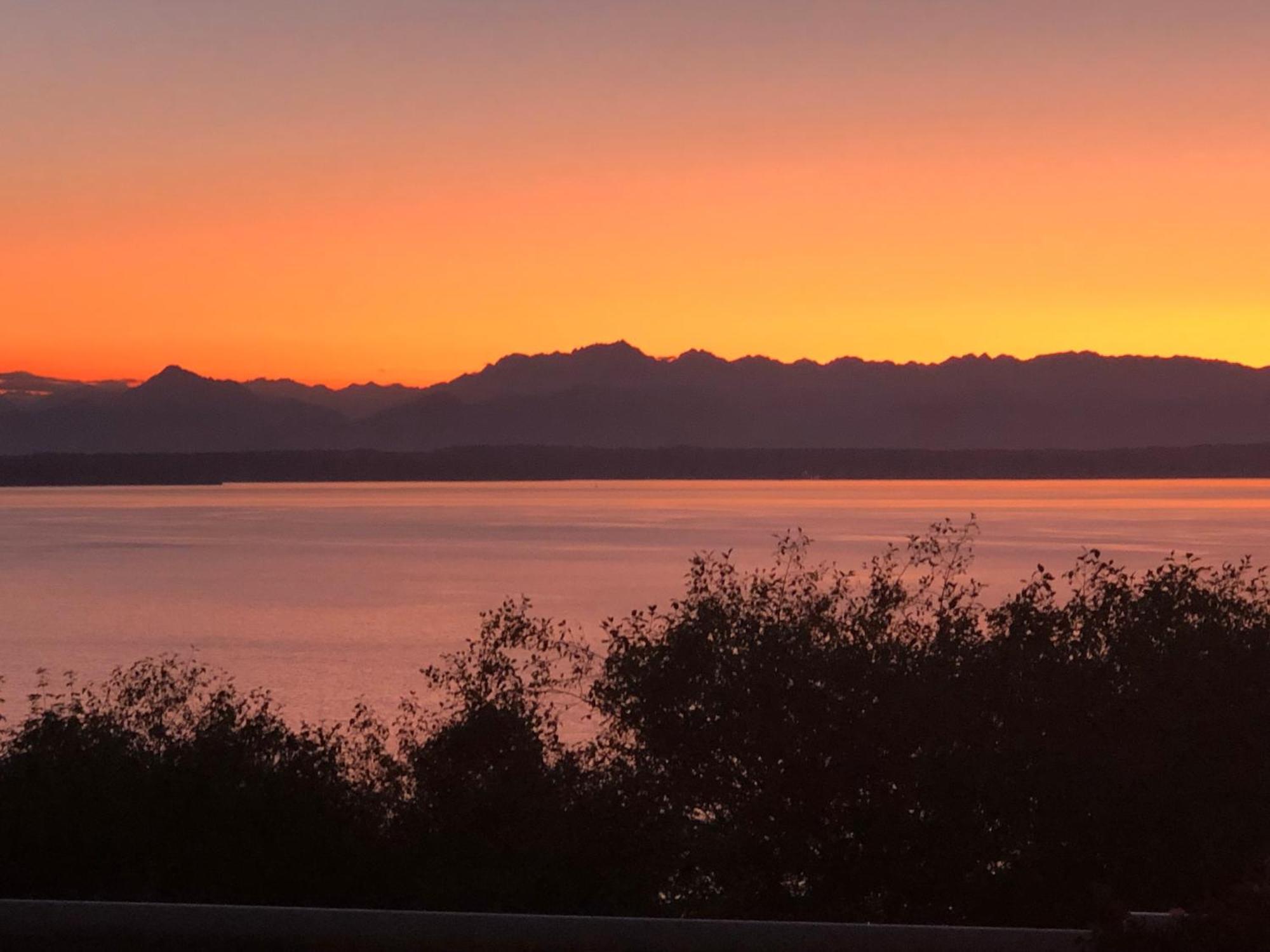 1-Bedroom Seaview Guesthouse On Seattle Luxury Estate With Views Of Olympic Mountains Exterior photo